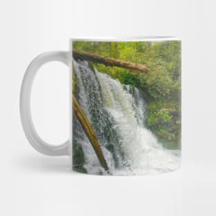 Abrams Falls, Great Smoky Mountains Mug